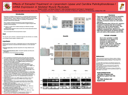 Effects of Estradiol Treatment on Lipoprotein Lipase and Carnitine
