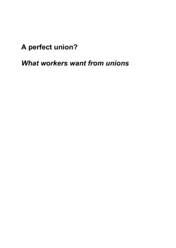 A perfect union? - Policy Studies Institute