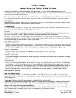 Teeth Brushing - The Cat Doctor