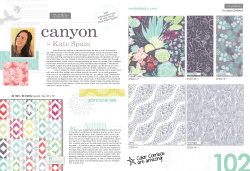Canyon - United Notions