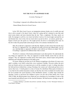 Sin: Not the Way It`s Supposed to Be