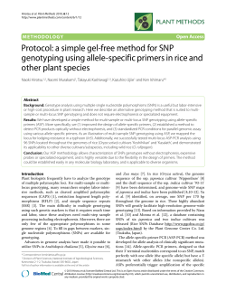 Protocol: a simple gel-free method for SNP genotyping using allele