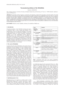 Taxonomical problems of the Heliolitida