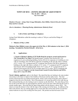 town of rye &ndash; zoning board of adjustment