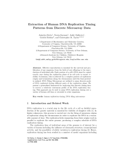 Extraction of Human DNA Replication Timing Patterns
