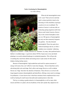 09-05 Native Gardening for Hummingbirds