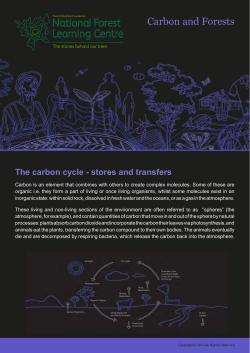 Carbon and Forests - Forest Education Foundation