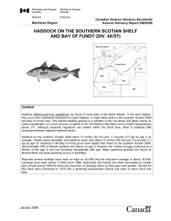 2005/056 - Vagues/Waves