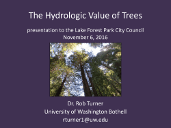 The Hydrologic Value of Trees