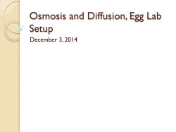 Osmosis and Diffusion, Egg Lab Setup