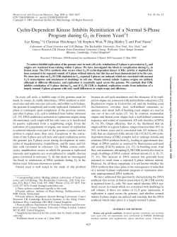 Cyclin-Dependent Kinase Inhibits Reinitiation of a Normal S