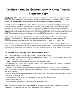 Catalase &ndash; How Do Enzymes Work in Living Tissues?