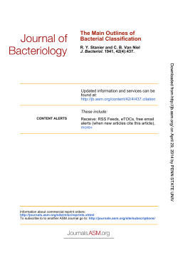 Bacterial Classification The Main Outlines of