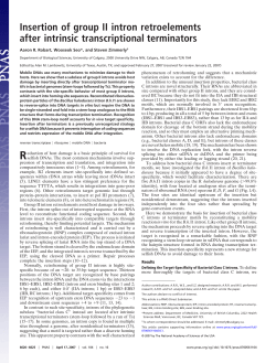 Insertion of group II intron retroelements after intrinsic transcriptional