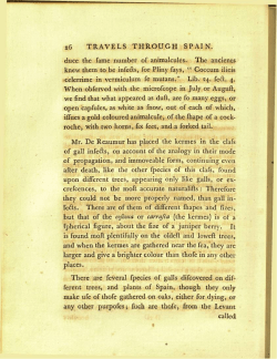 26 TRAVELS THROUGH SPAIN. duce the fame number of