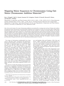 Mapping Maize Sequences to Chromosomes