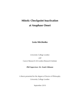 Mitotic checkpoint inactivation at anaphase onset