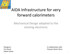 AIDA Infrastructure for very forward calorimeters