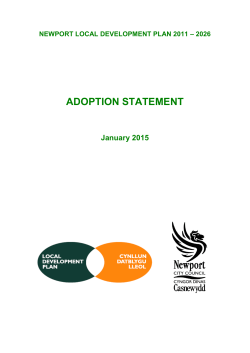 ADOPTION STATEMENT