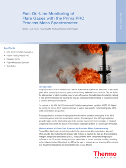 Fast On-Line Monitoring of Flare Gases with the Prima PRO Process