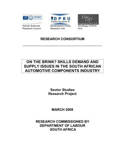 on the brink? skills demand and supply issues in the south african