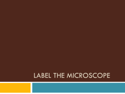 LABEL THE MICROSCOPE