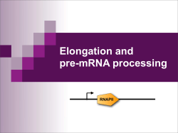 Elongation