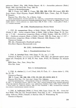 pubescens (Huds.) Pilg. 1938, Feddes Repert. 45: 6.