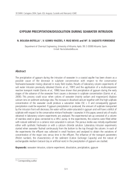 gypsum precipitation/dissolution during seawater intrusion