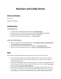Ranchers and Cattle Drives