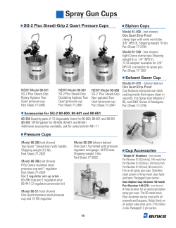 Spray Gun Cups