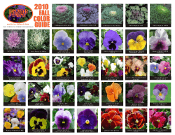 fall color guide 2010