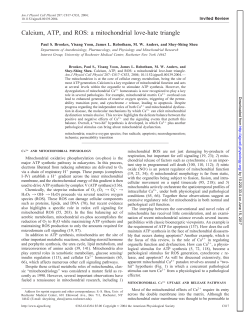 Calcium, ATP, and ROS: a mitochondrial love-hate triangle - AJP-Cell