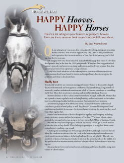 Happy Hooves, Happy Horses