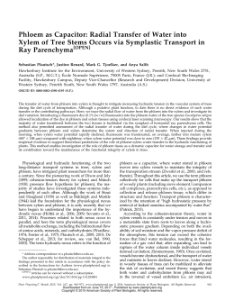 Phloem as Capacitor: Radial Transfer of Water into Xylem of Tree