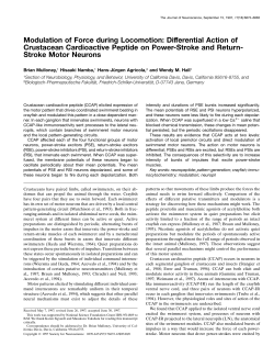Modulation of Force during Locomotion: Differential Action of