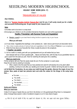 Seedling Modern High School Class I Holidays Homework 2016-17