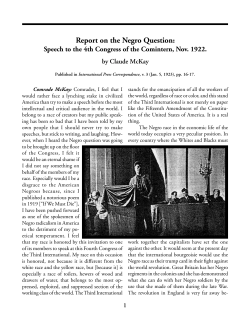 Report on the Negro Question
