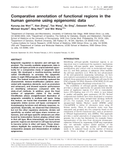 Comparative annotation of functional regions in the human genome