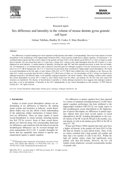 Sex difference and laterality in the volume of mouse dentate gyrus