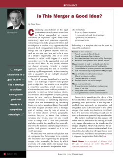 Is This Merger a Good Idea?