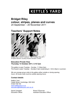 Riley Teachers Notes