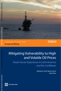 Mitigating Vulnerability to High and Volatile Oil Prices