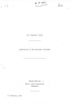 THE PAKAKOHI TRIBE SUBMISSION TO THE WAITANGI