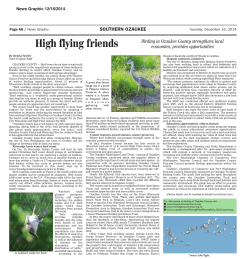 High flying friends - Bird City Wisconsin