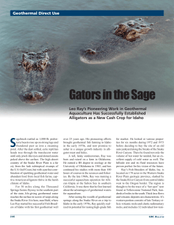 Gators in the Sage - Geothermal Resources Council
