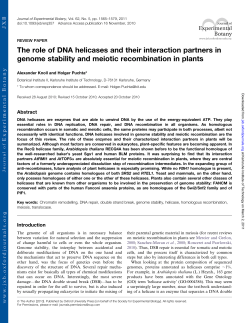 The role of DNA helicases and their interaction partners in genome