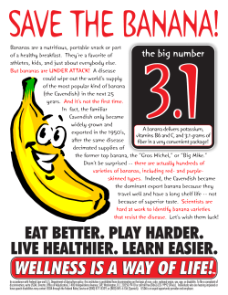 Bananas are a nutritious, portable snack or part of a healthy