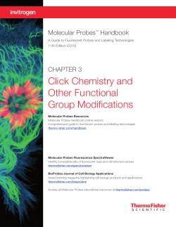 Chapter 3—Click Chemistry and Other Functional Group Modifications