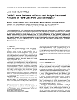 CellSeT: Novel Software to Extract and Analyze